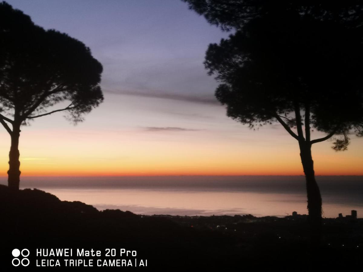 Villa Maresme & Villa Rosa 马塔罗 外观 照片