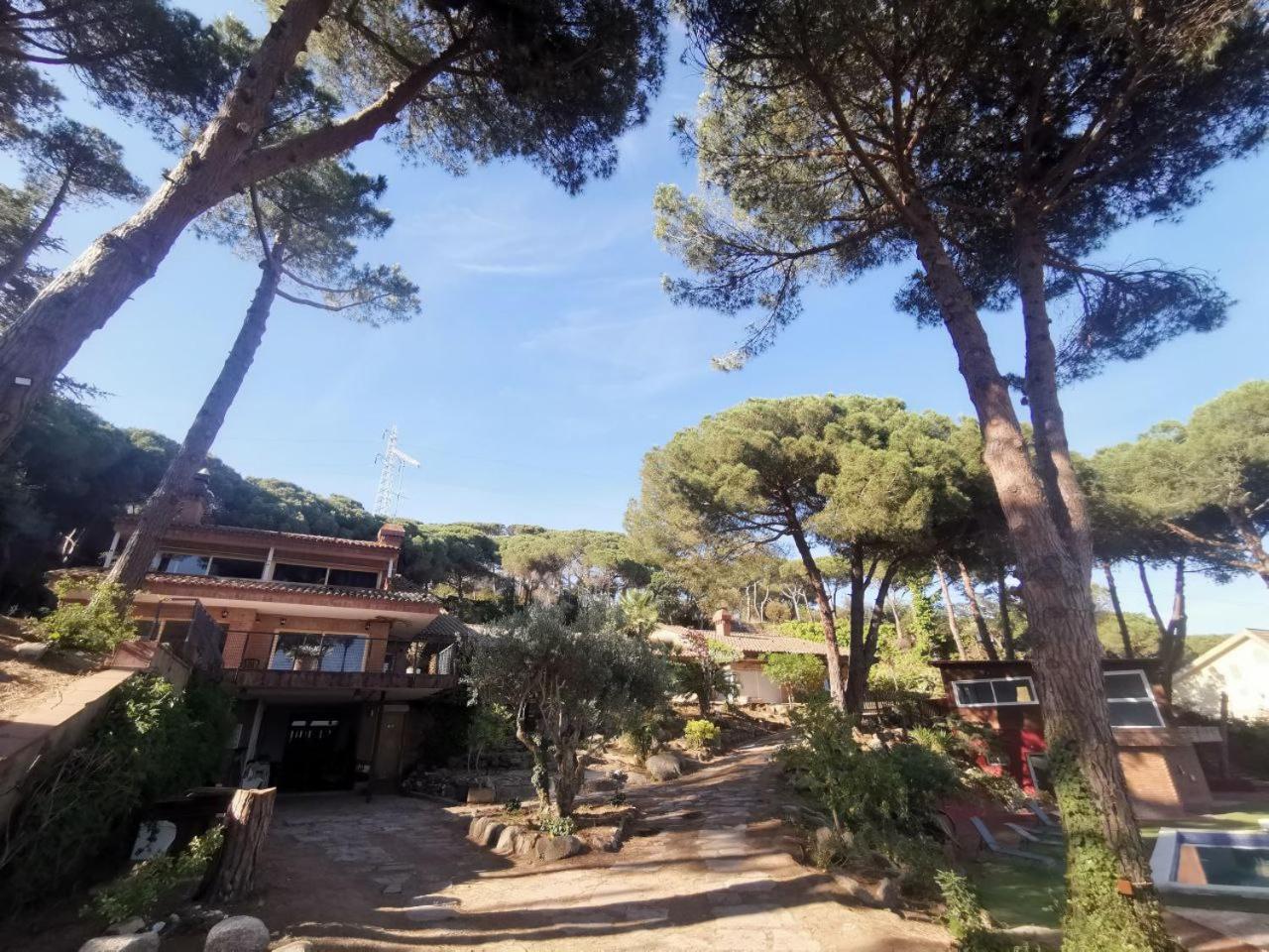 Villa Maresme & Villa Rosa 马塔罗 外观 照片